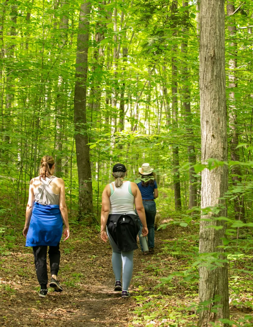 Pilates, Yoga, Natura e Tu: un ritiro nel weekend