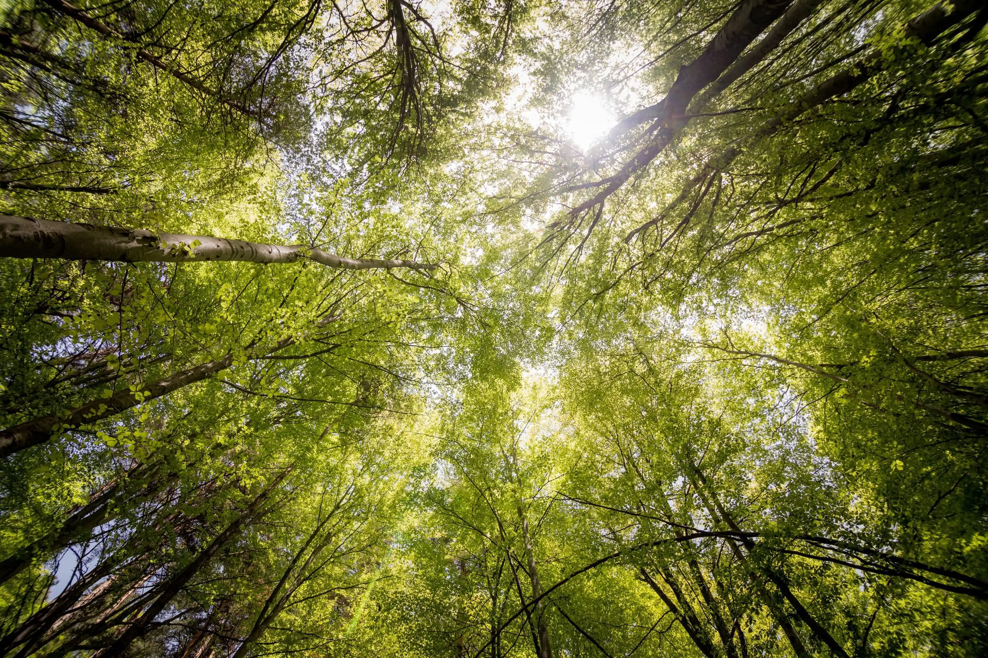 Ritiro lungo weekend di riduzione dello stress con yoga e meditazione