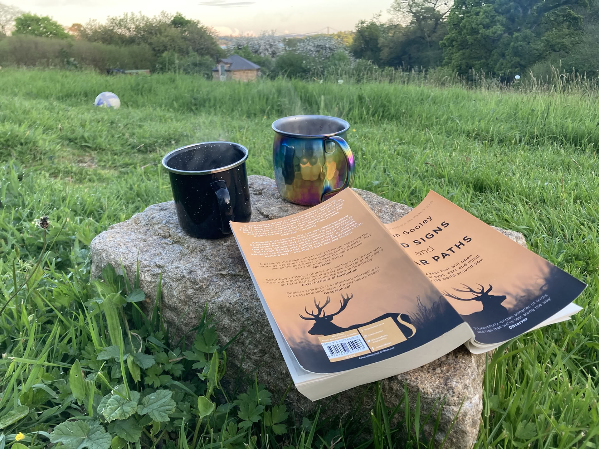Reading Retreat – Dog Friendly - October '26