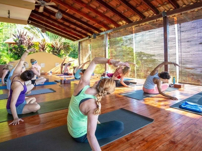 Protect Your Peace Ritiro – Terri McDermott