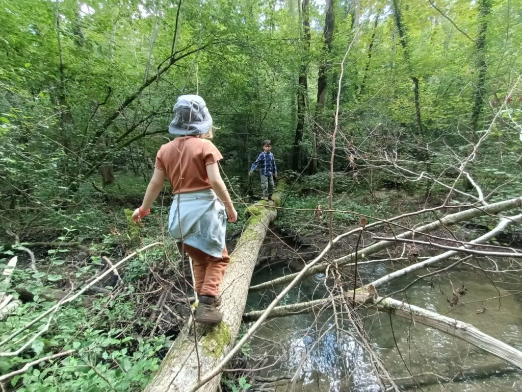 Su Hobbit, Elfi, Nani, Umani e Maghi: settimana per bambini con Richard