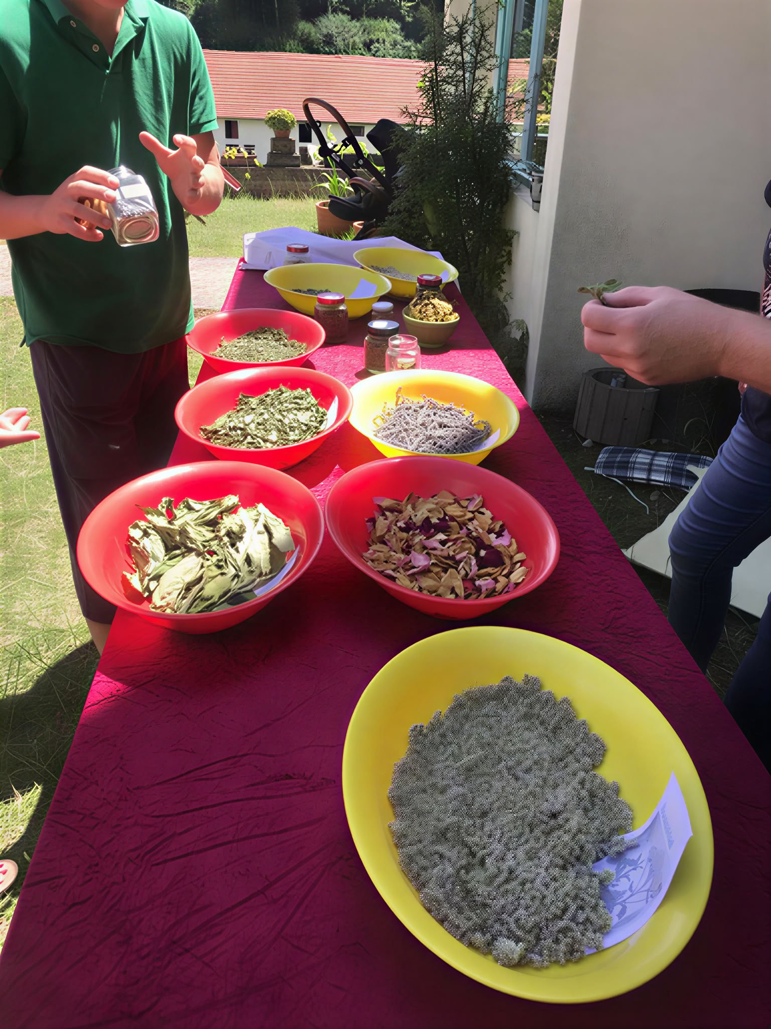Ayurveda Wellness ritiro