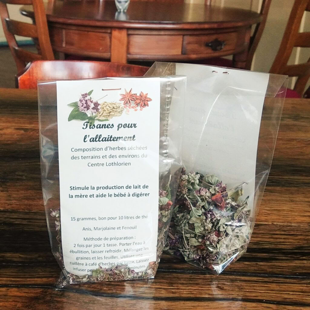 Ayurveda Wellness ritiro