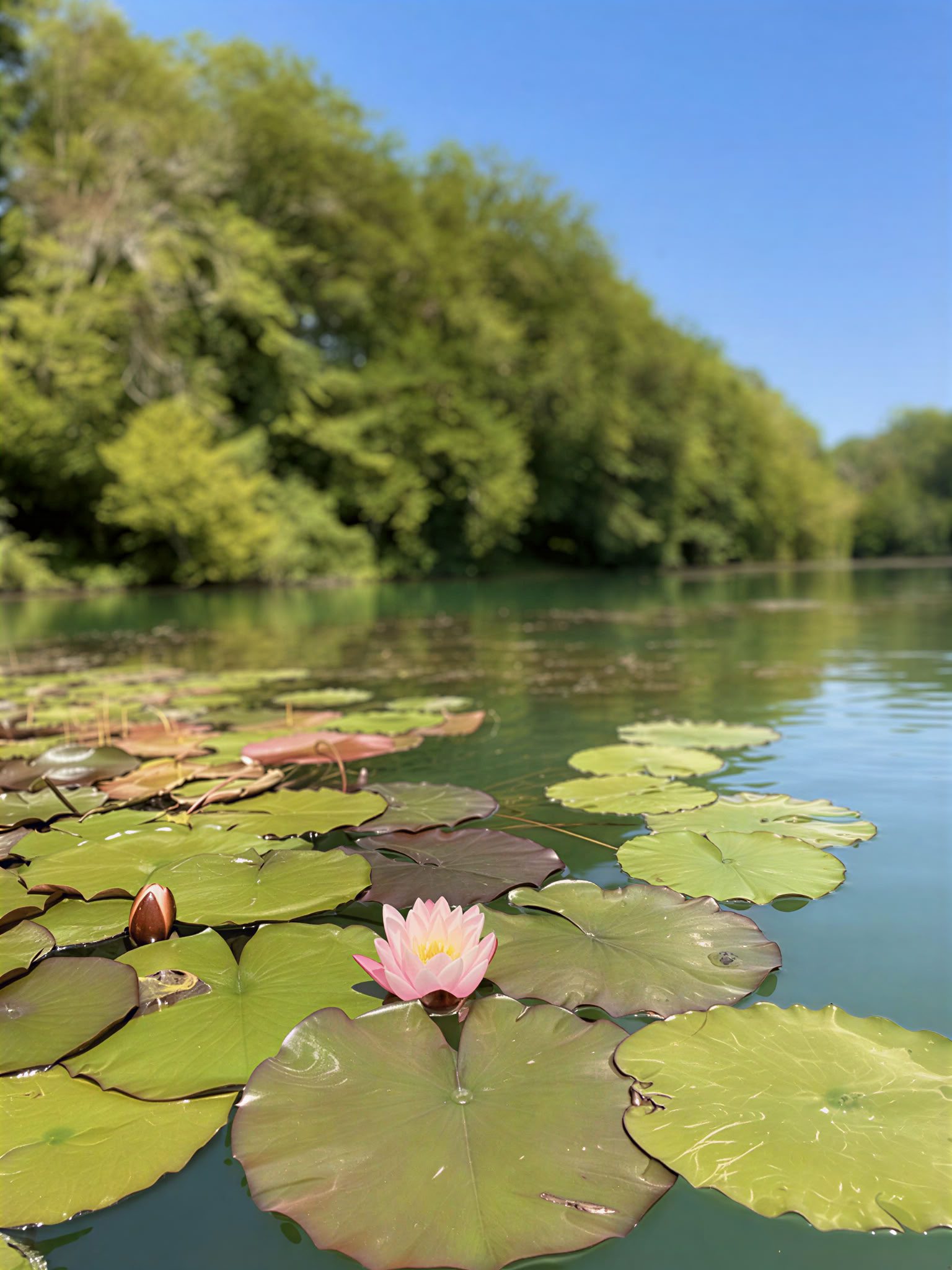 Yoga e meditazione camminata