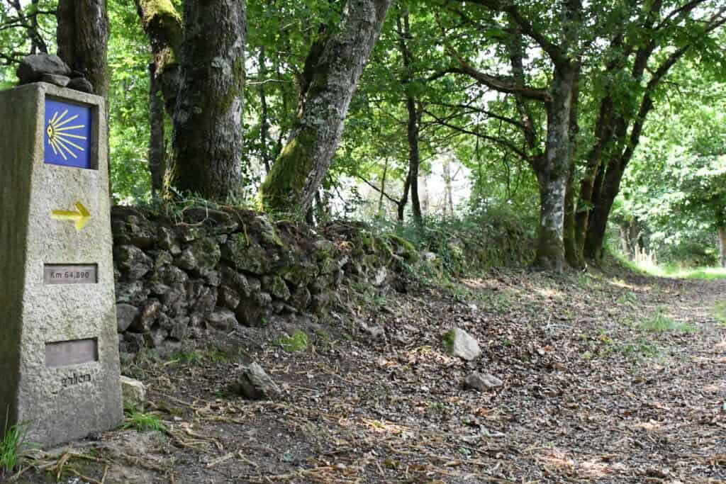 Cammino di Santiago portoghese da Tui in 5 tappe, classe comfort