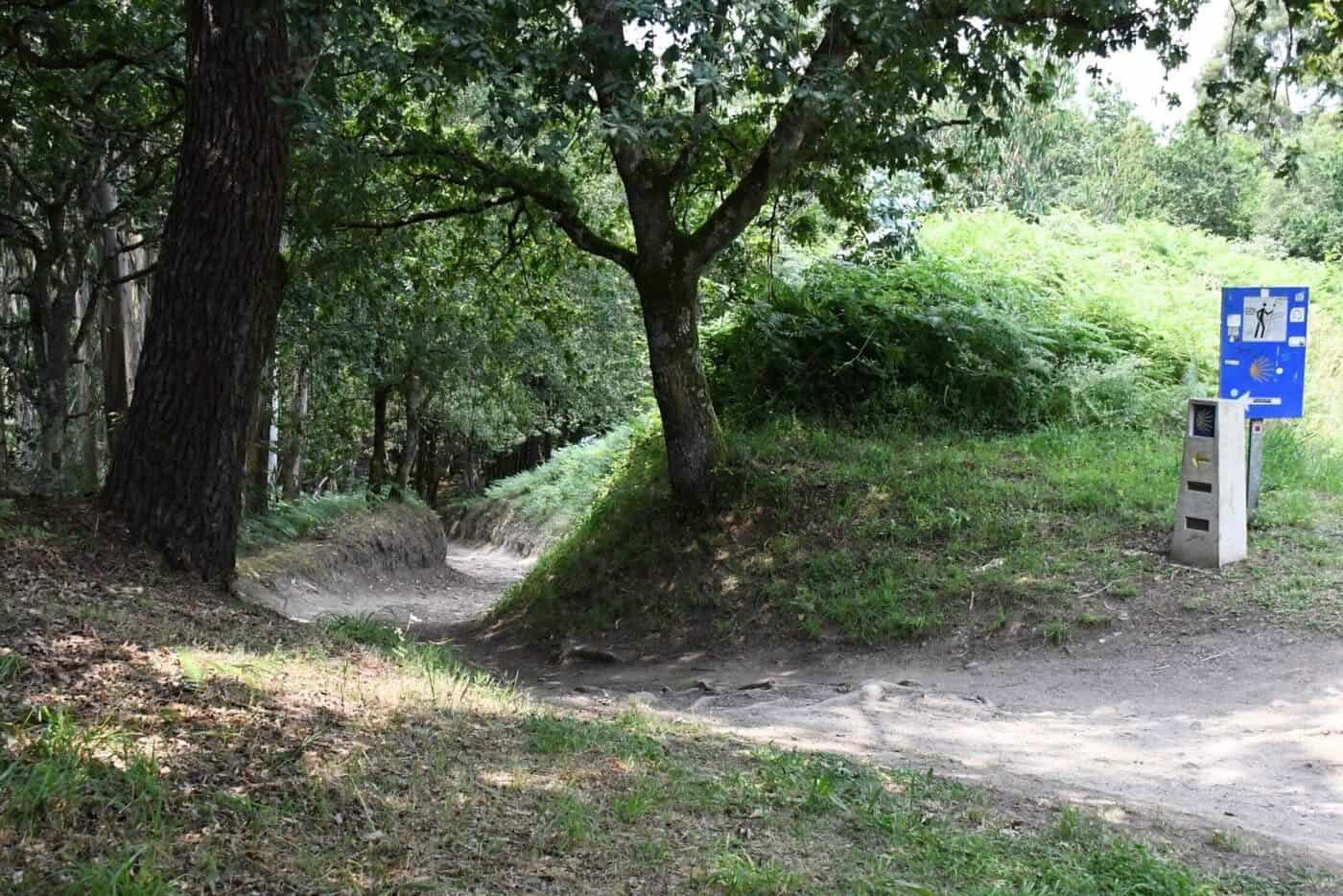 Cammino di Santiago portoghese da Tui in 5 tappe, classe comfort