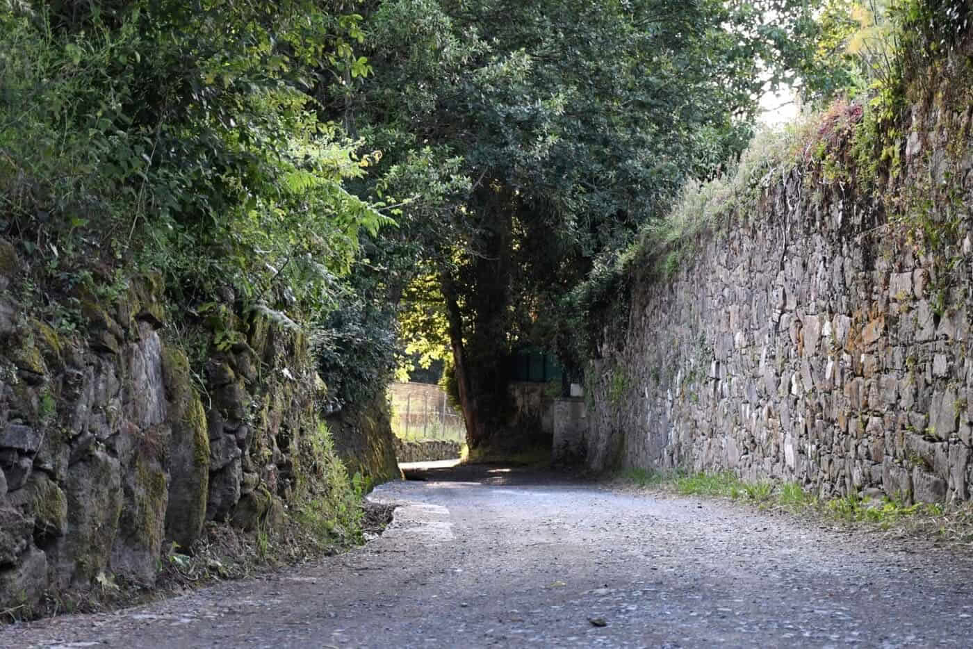 Cammino primitivo da Lugo in 5 tappe, classe comfort