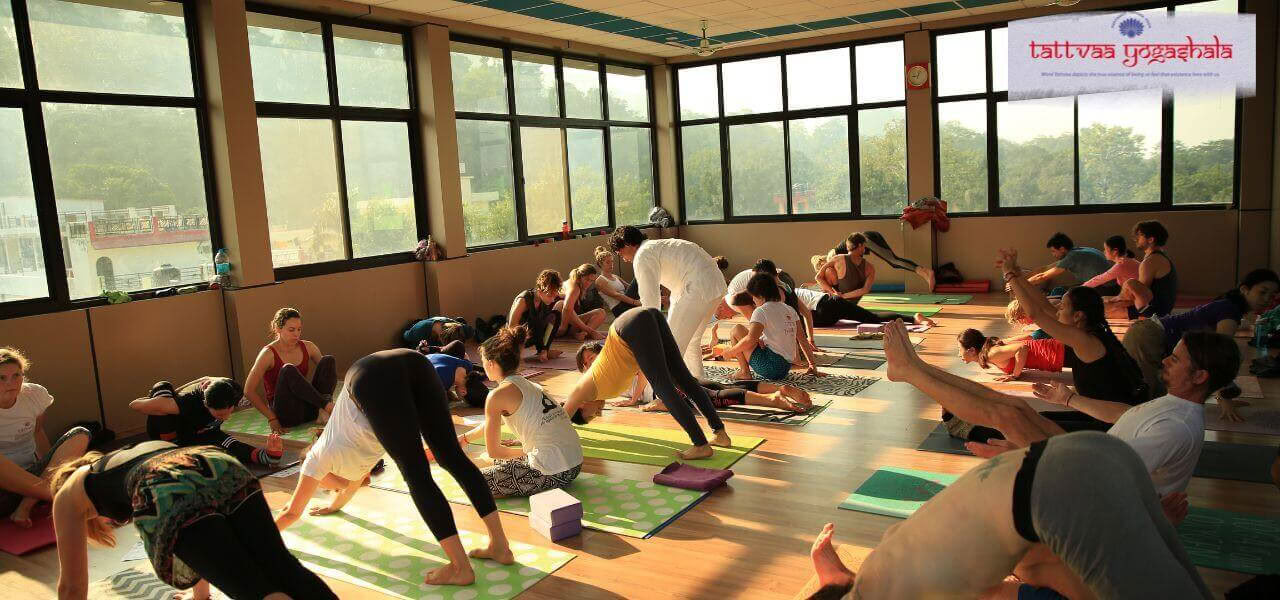 500 Hour Yoga TTC Rishikesh
