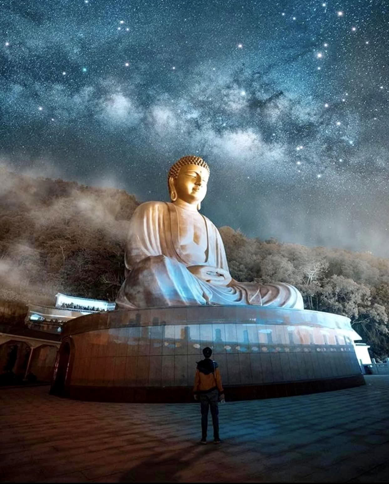 Awakening Within the Dream Ritiro di Yoga del Sogno di 10 Giorni