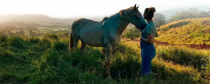 Selvaggio Interiore