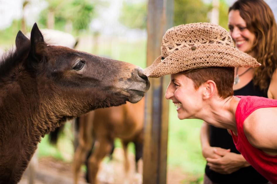 Horse and Soul with Danielle Mackinnon