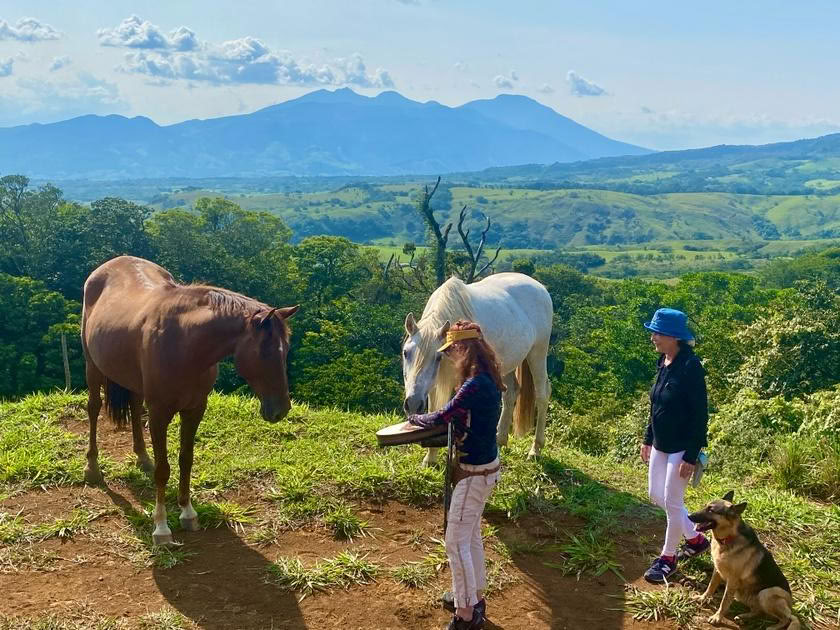 Costellazioni con i Cavalli in Costa Rica 2026