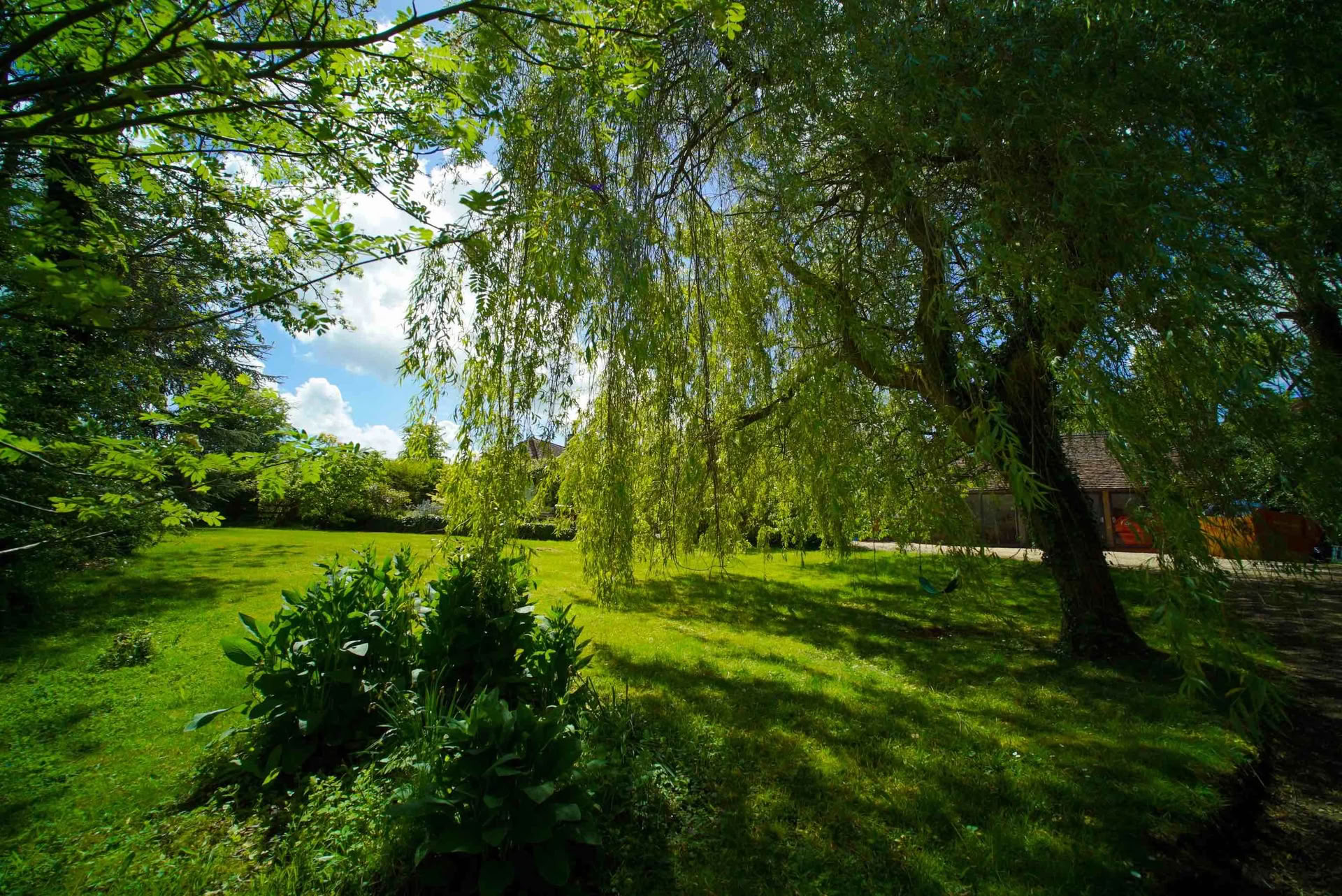 Creative Cooking, Conscious Eating e Yoga Ritiro, Cotswolds, Oxfordshire