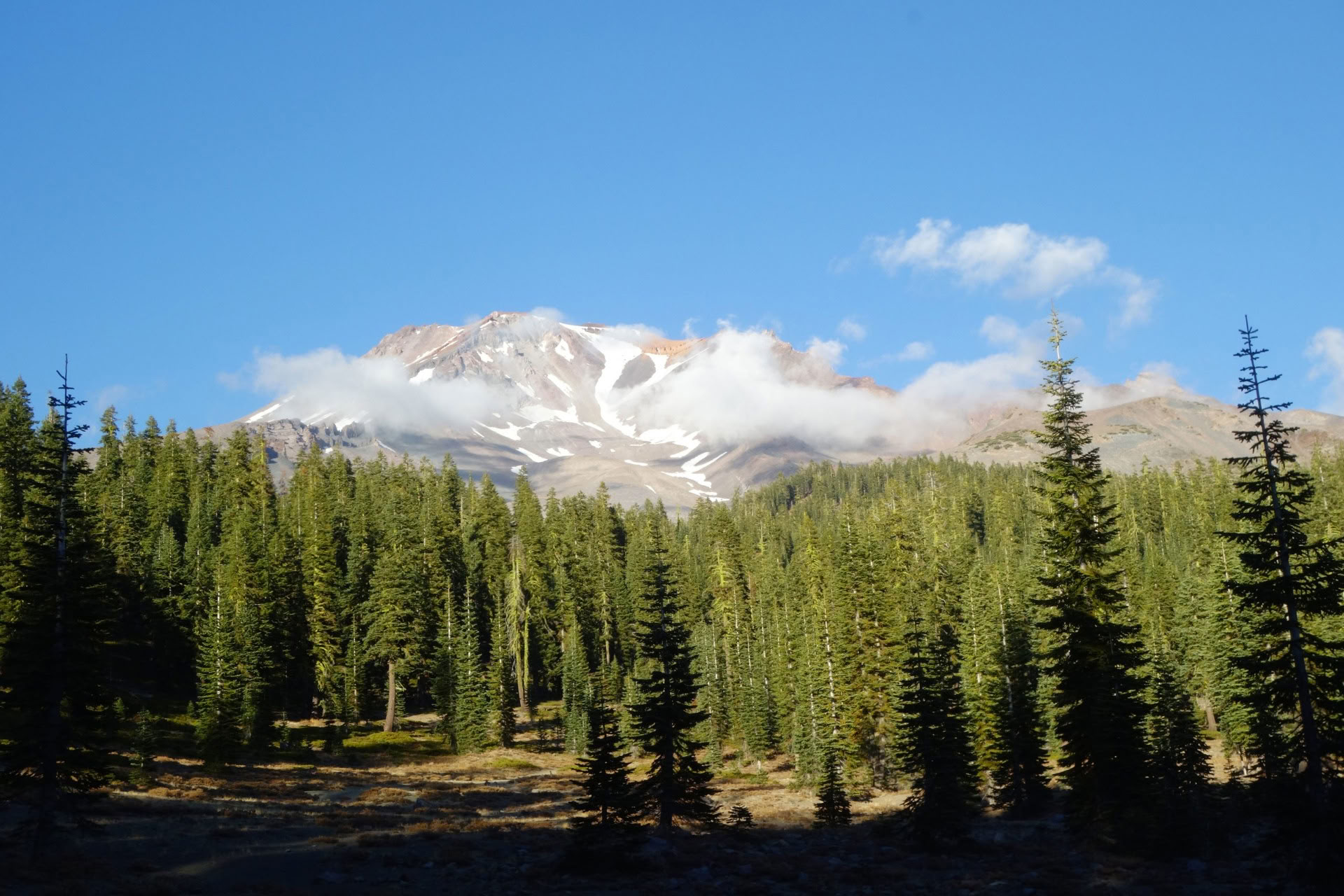 Tour del Solstizio d'Estate - Viaggio Sacro al Monte Shasta