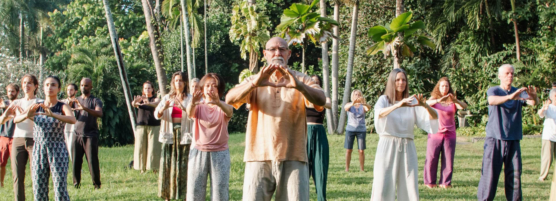 Formazione insegnanti di Qigong Livello 1 Forest Rock