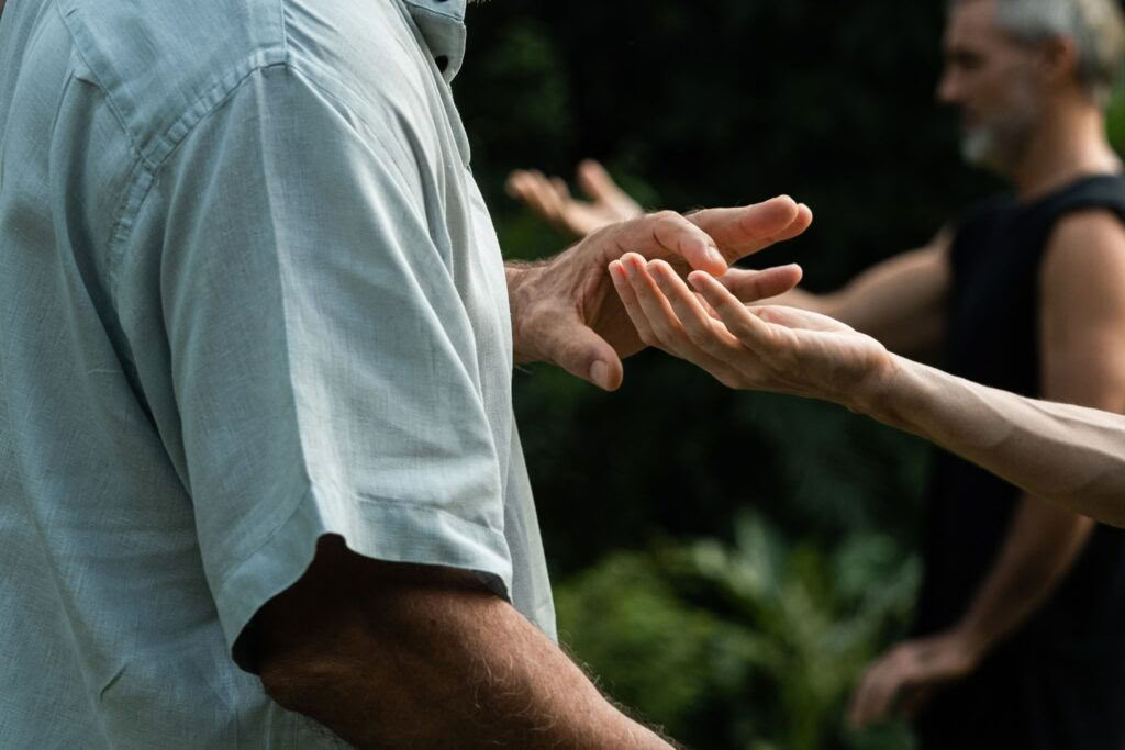 Formazione insegnanti di Qigong Livello 1 Forest Rock