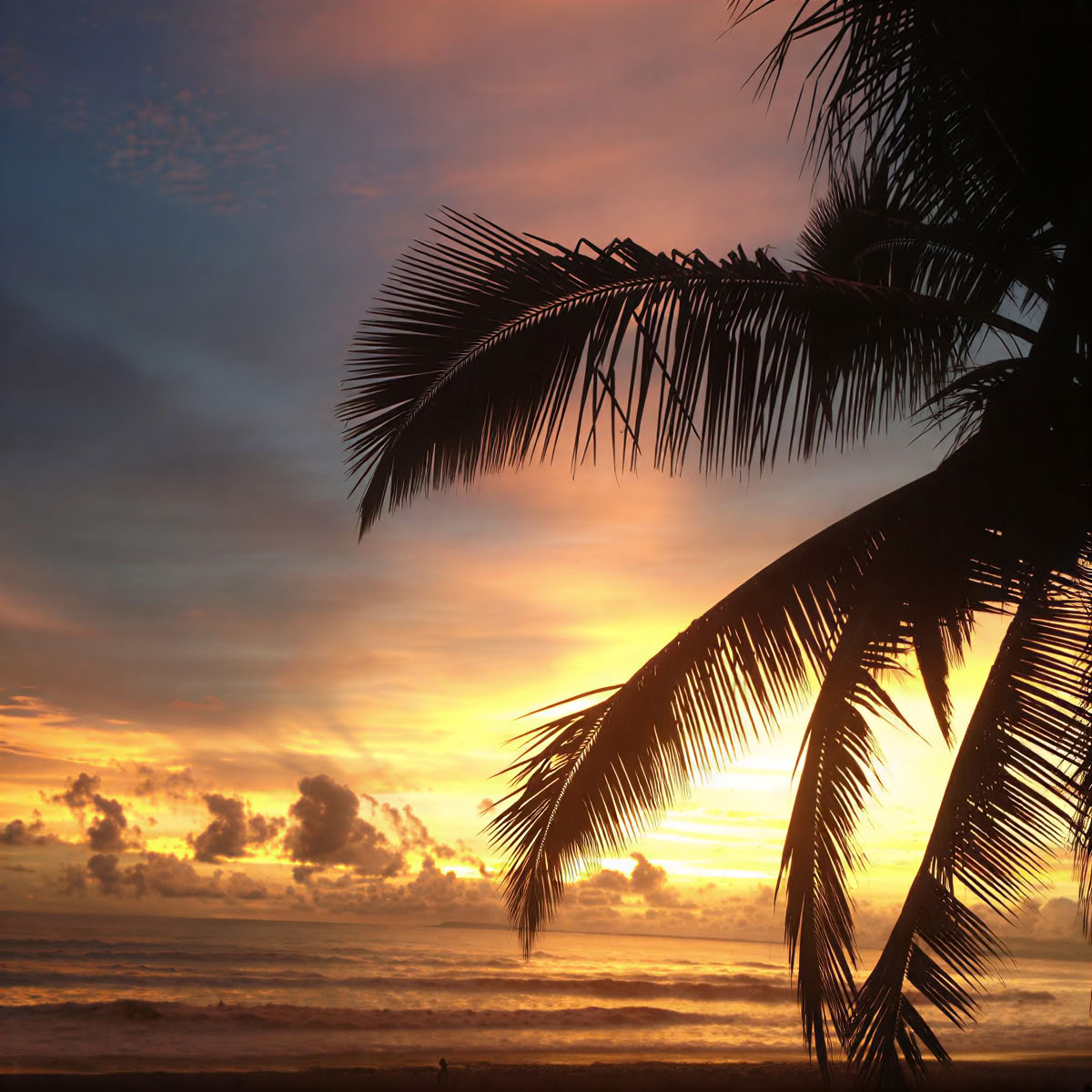 Ritiro a Jaco Beach Costa Rica