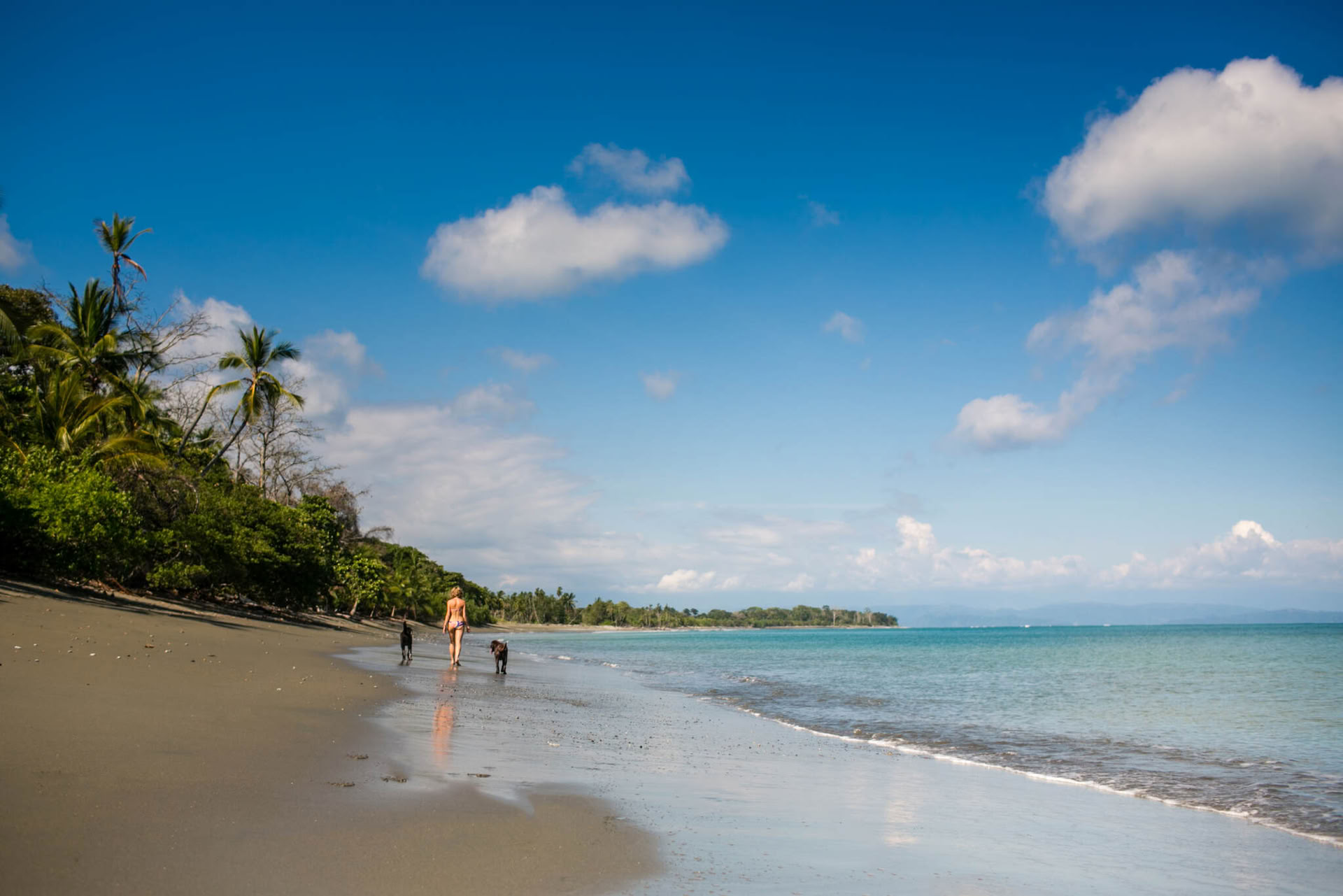 Ritiro di Yoga di Capodanno: Rinnova il tuo spirito in Costa Rica