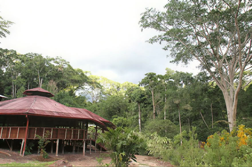 Ritiro Weekend Ayahuasca