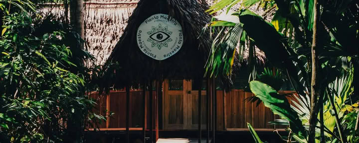 7-giorni Iniziazione all’Ayahuasca