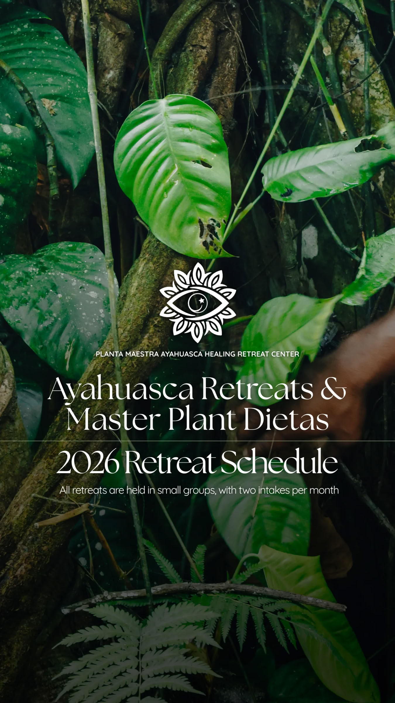 10 giorni di viaggio con Ayahuasca + Dieta delle Piante Maestre