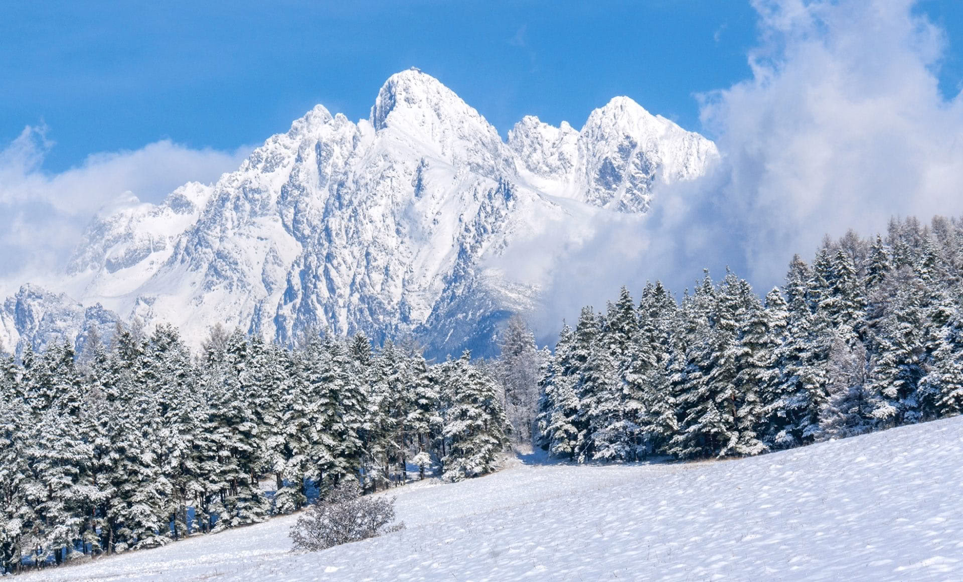 Vacanza invernale di camminate e attività in Slovacchia
