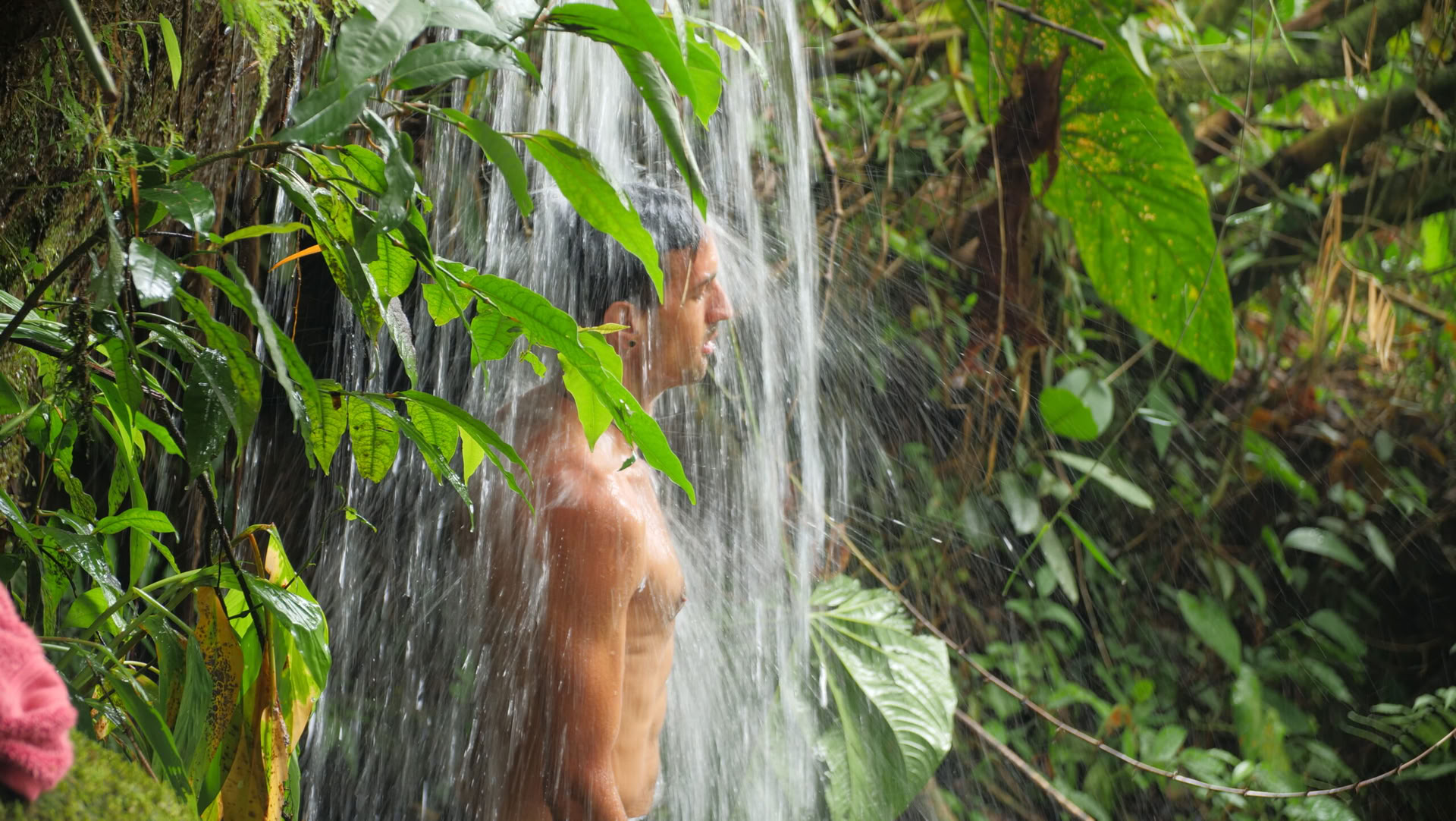 Ayahuasca & Viaggio Somatico