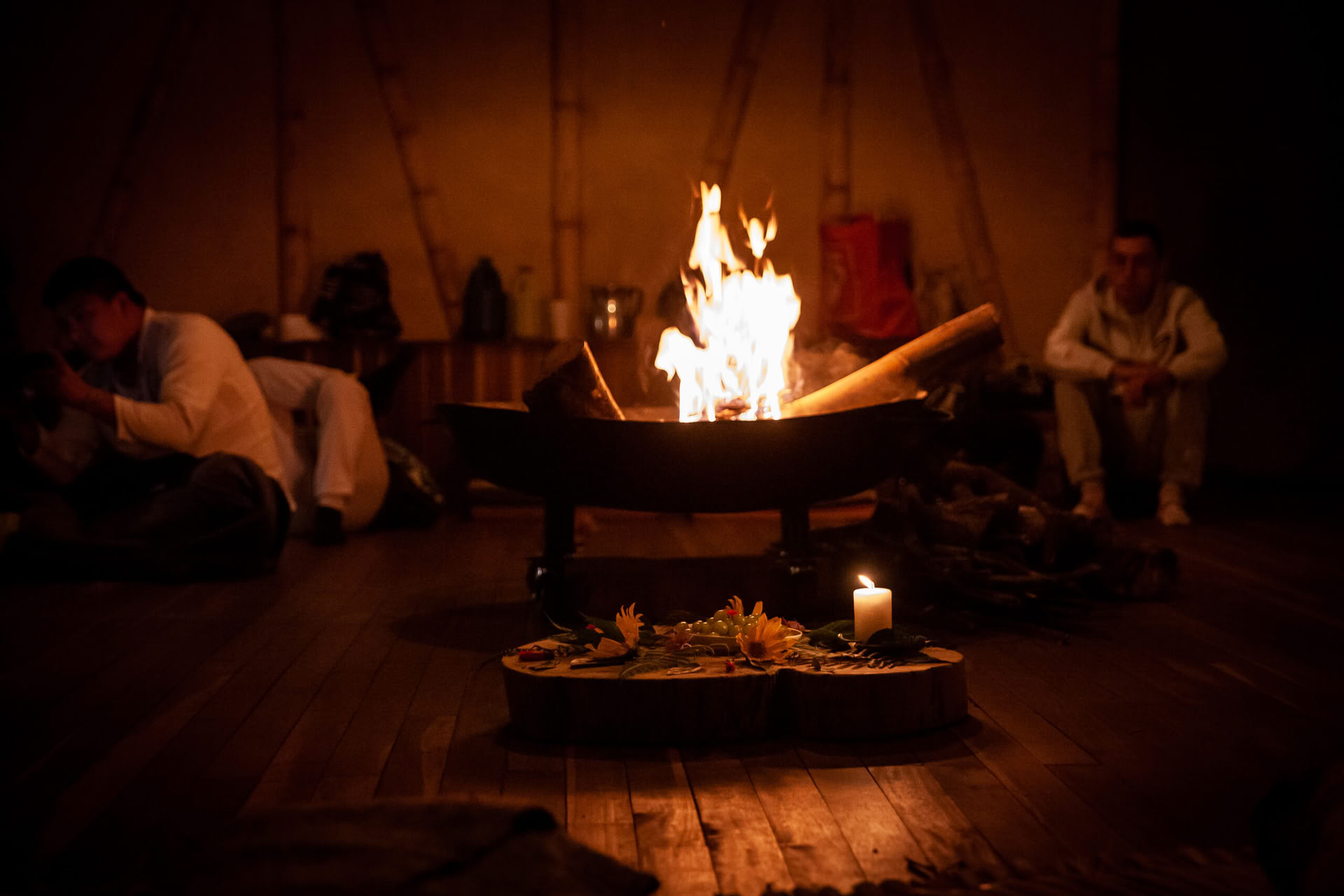 Ayahuasca & Viaggio Somatico