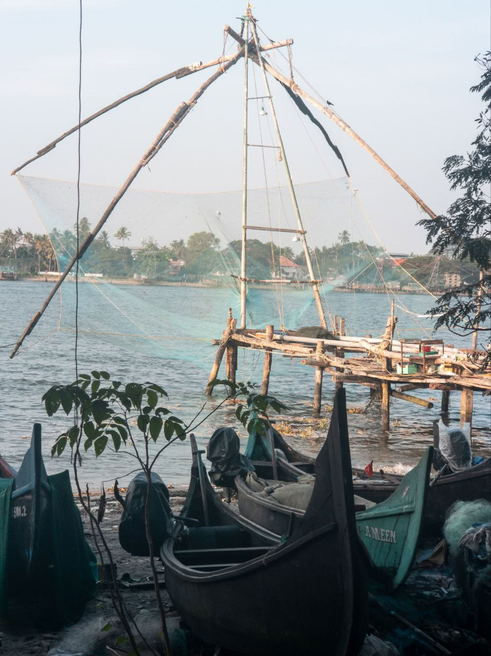 Ultimate Ayurvedic Detox | Un viaggio di guarigione e rinnovamento in Kerala