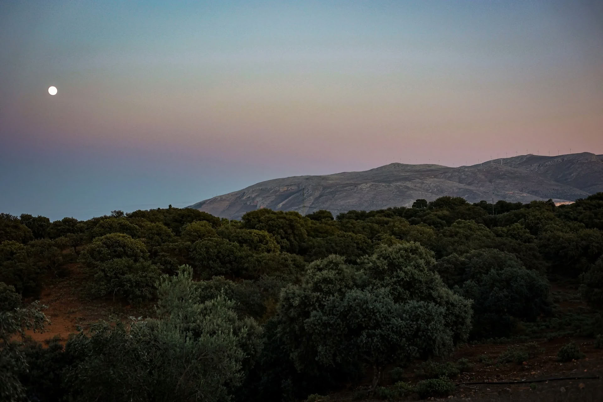 Ritiro di immersione autunnale - Marocco