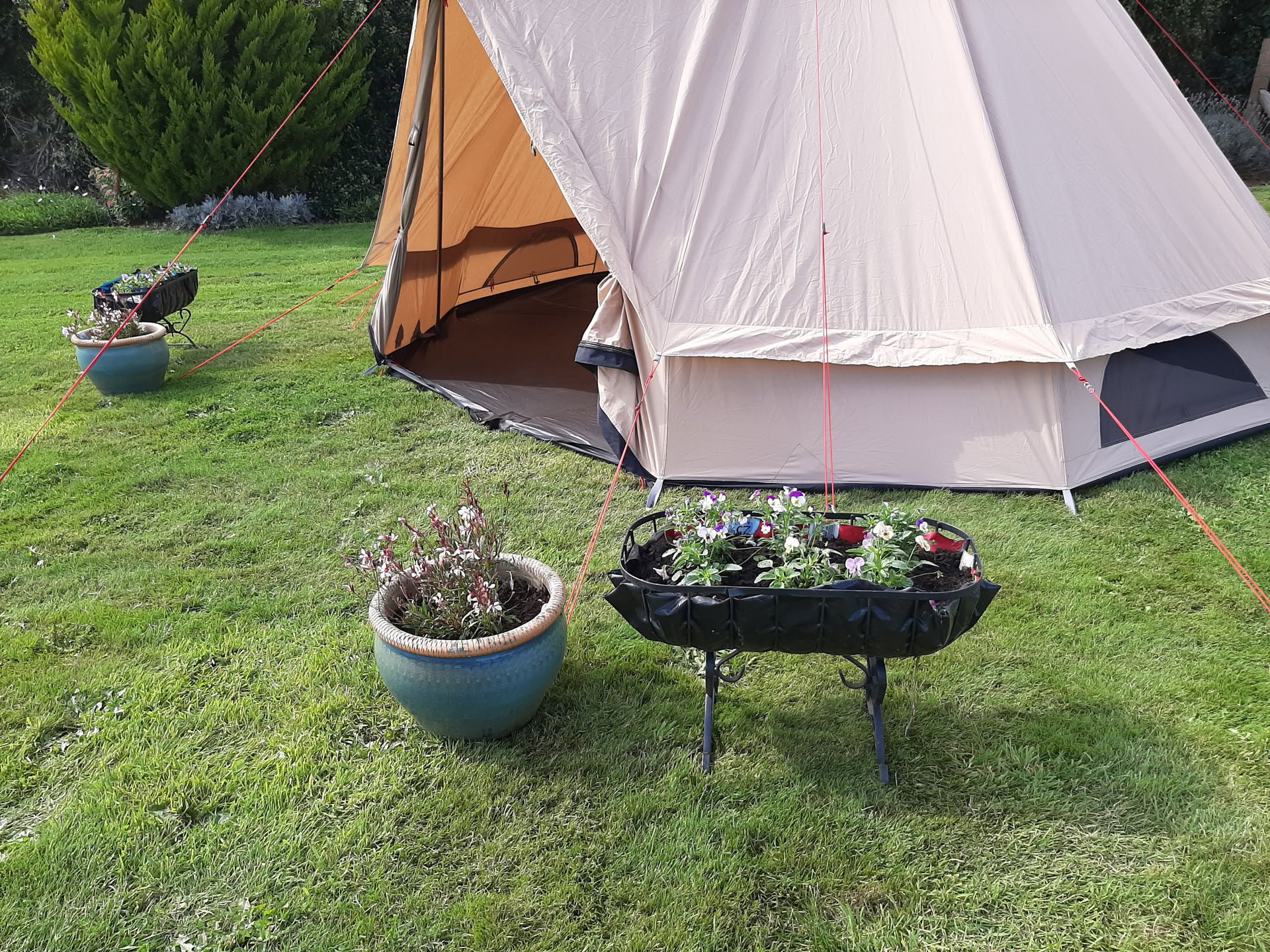 esperienza nella tenda di guarigione