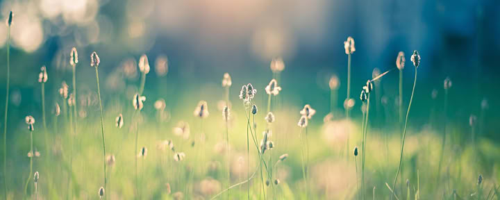 Reiki II: Espandi la tua portata