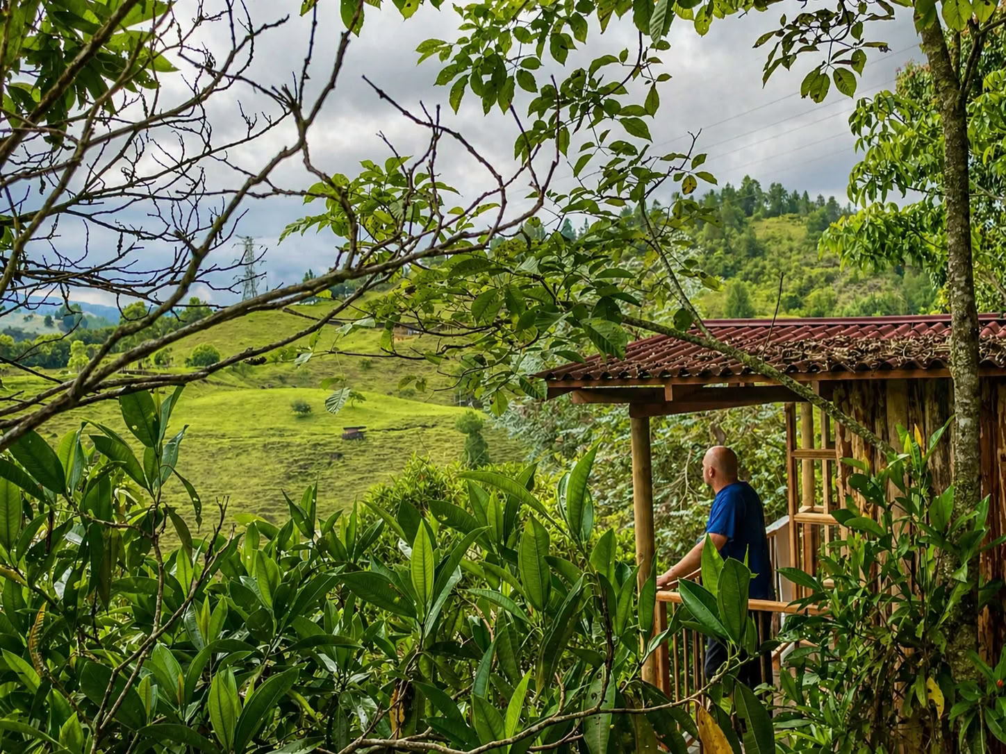 Ritiro di Ayahuasca per Donne in Colombia