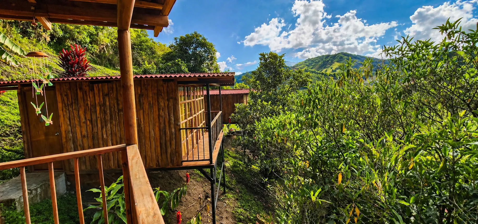 Ritiro di Ayahuasca a Medellín - ottobre 2026