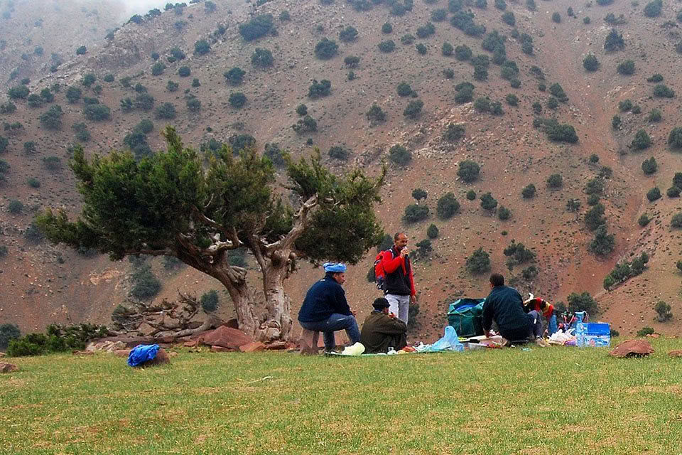 Ritiro di Yoga in Montagna