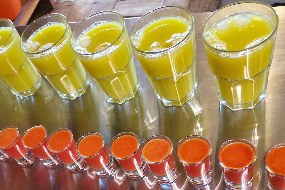 Juice Detox, Yoga & Wellness Ritiro – 23 Dic 2026 - 30 Dic 2026