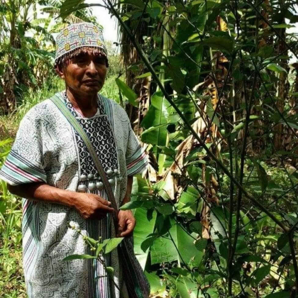 Ayahuasca Peru Ritiro con Antiche Cerimonie (5 Giorni)