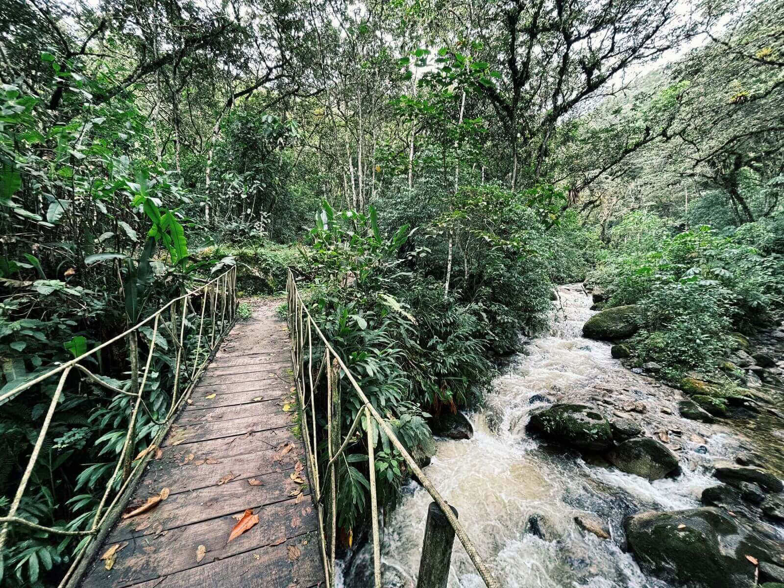 Machu Picchu Mistico: Viaggio con Momenti di Consapevolezza (2 Giorni)