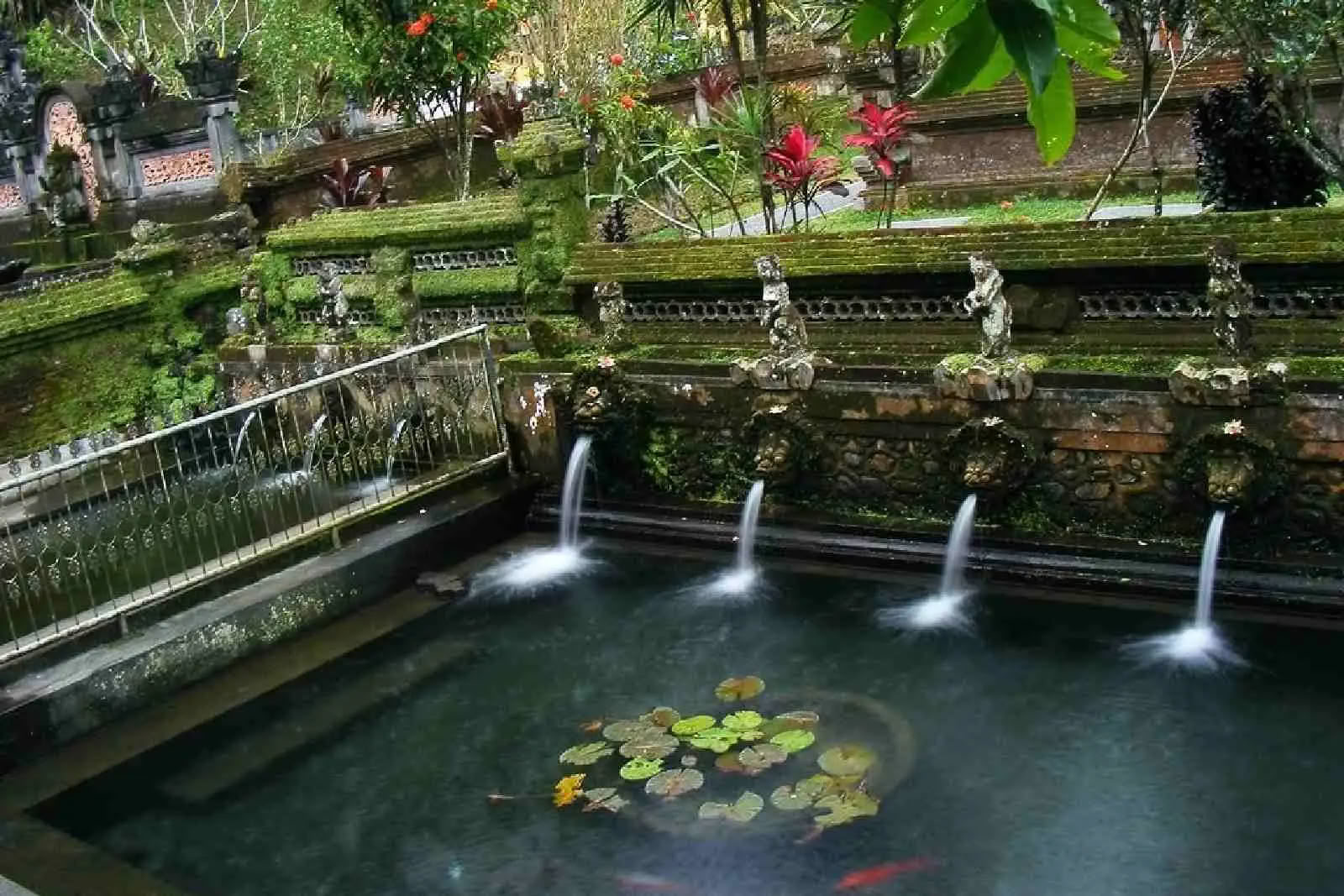 Melukat - Cerimonia di Purificazione Balinese