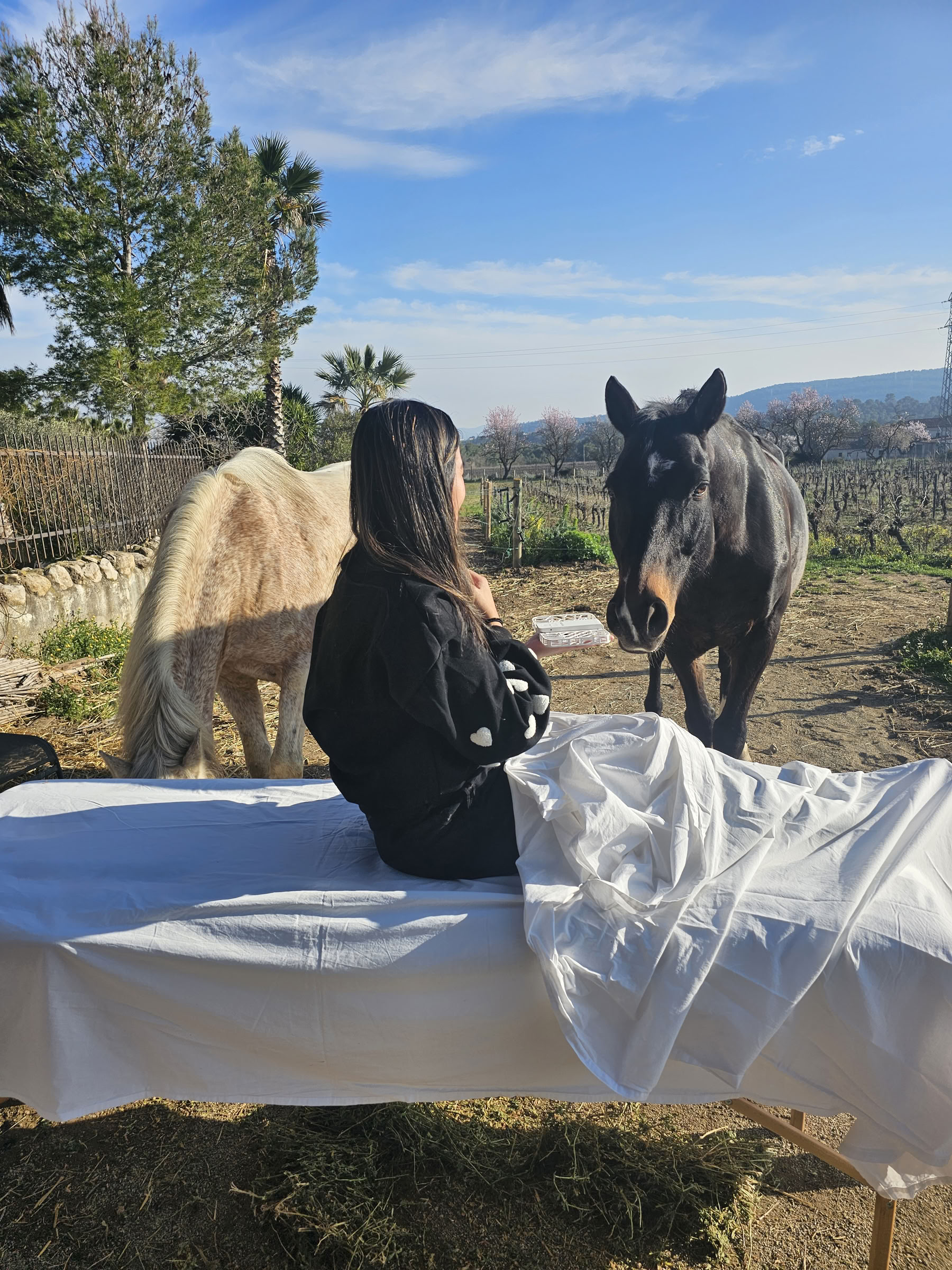 Yoga e Guarigione con i Cavalli: Ritiro di 5 Giorni