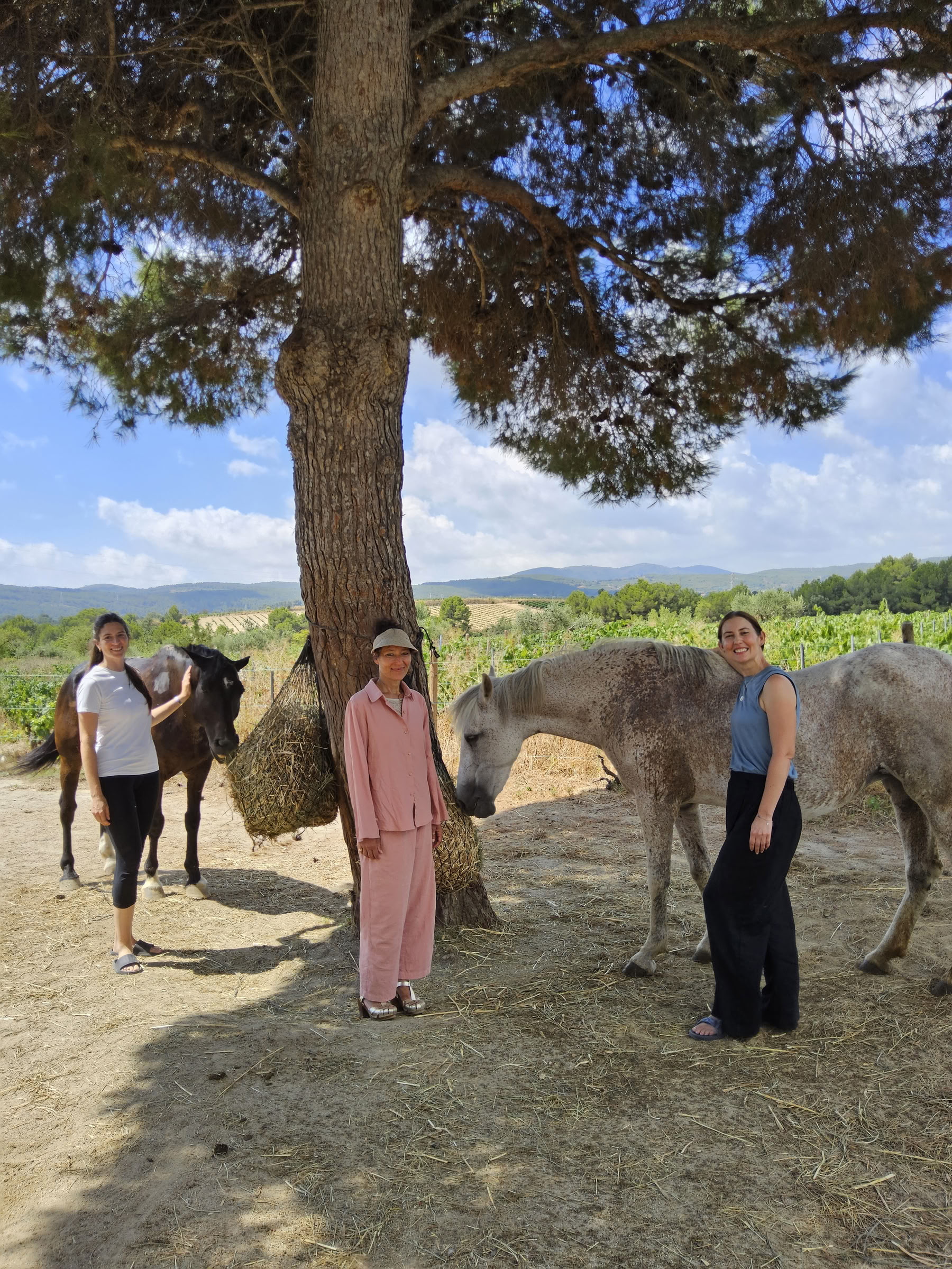 Yoga e Guarigione con i Cavalli: Ritiro di 5 Giorni
