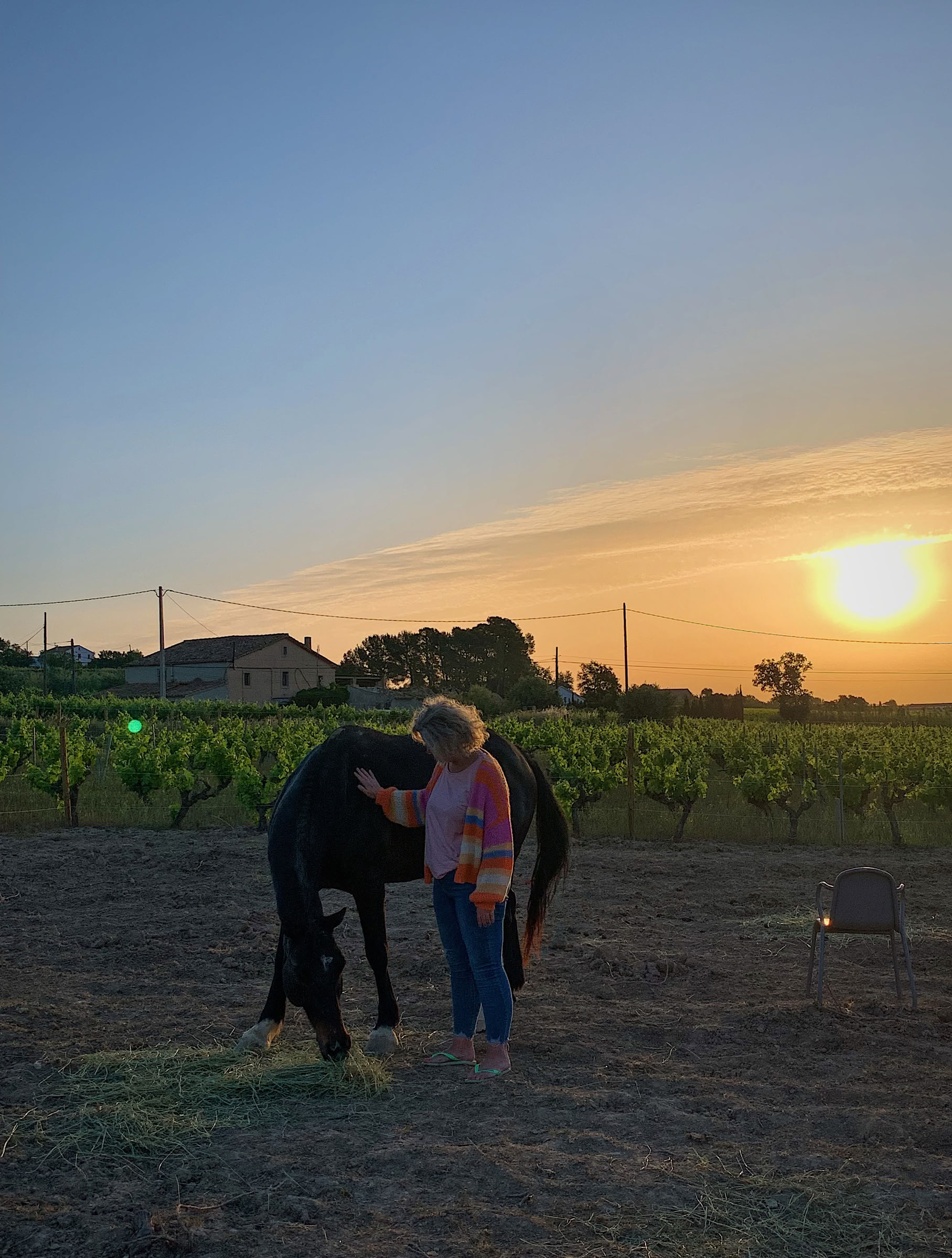 Yoga & Guarigione con i Cavalli