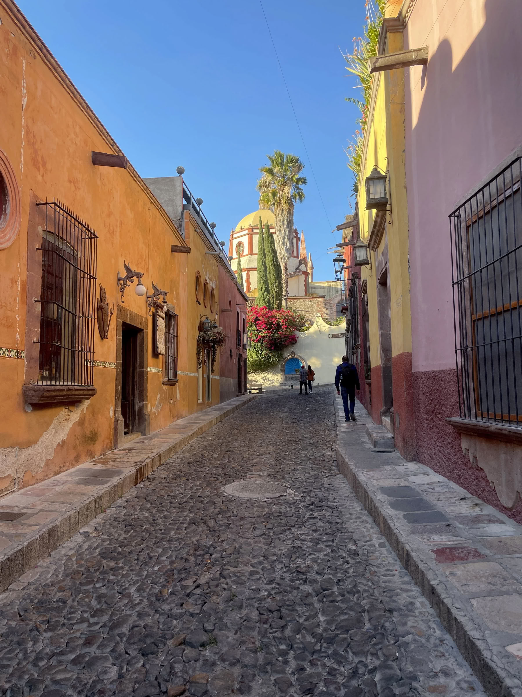 Traverse Mexico: Ritiro di Yoga e Cucina