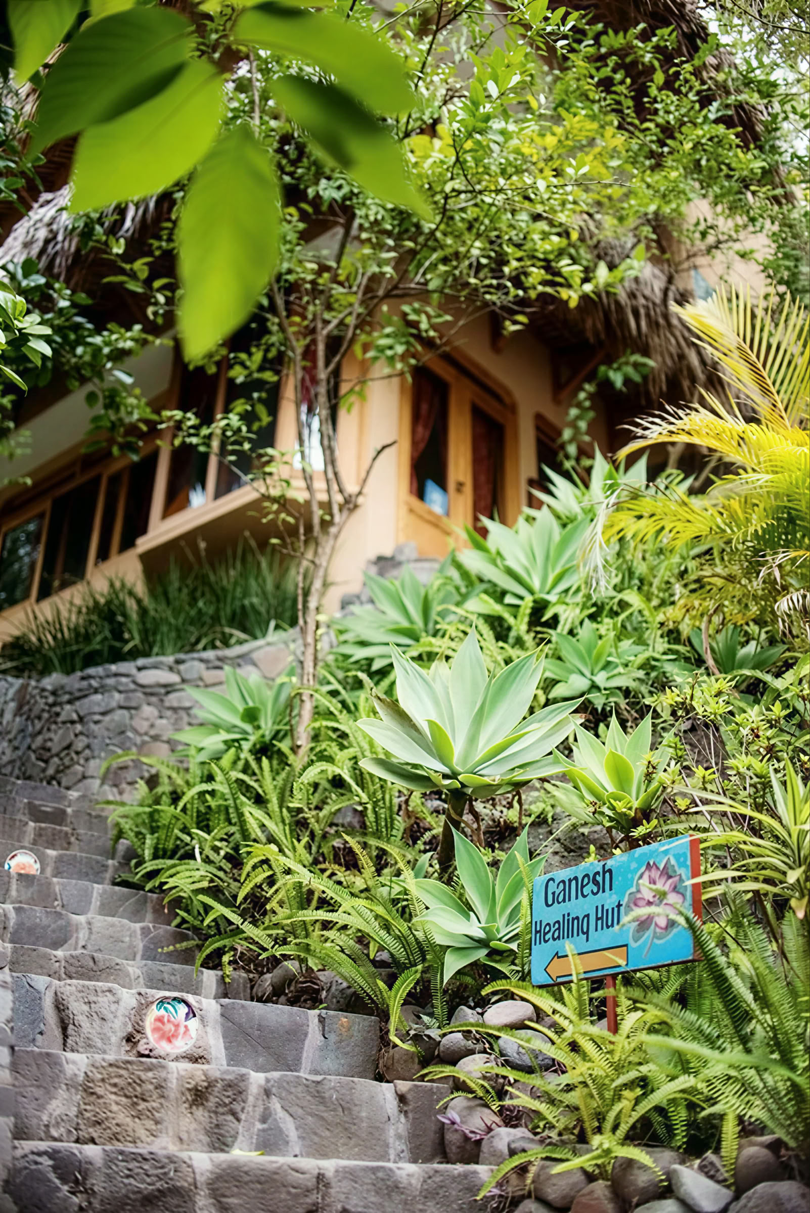 Ritiro di yoga in Guatemala di 6 giorni – 1-6 settembre 2026 con Michelle Fajkus