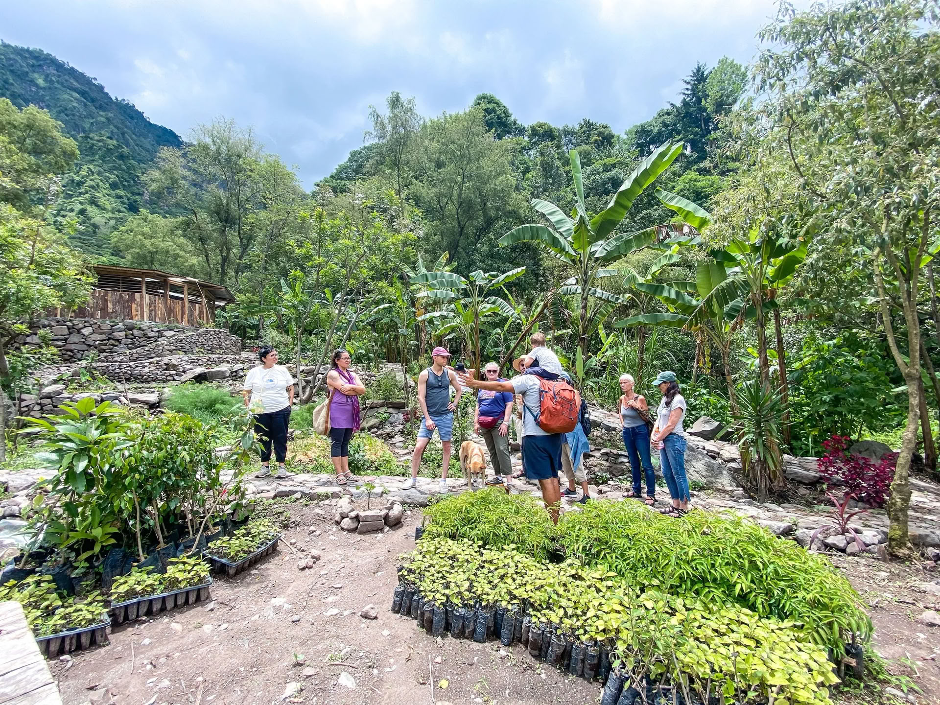 Ritiro di yoga in Guatemala di 6 giorni – 1-6 settembre 2026 con Michelle Fajkus