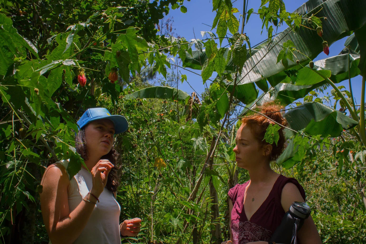 Ritiro di yoga in Guatemala di 6 giorni – 1-6 settembre 2026 con Michelle Fajkus