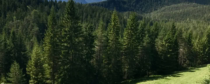 Yoga & Escursioni nelle Alpi austriache