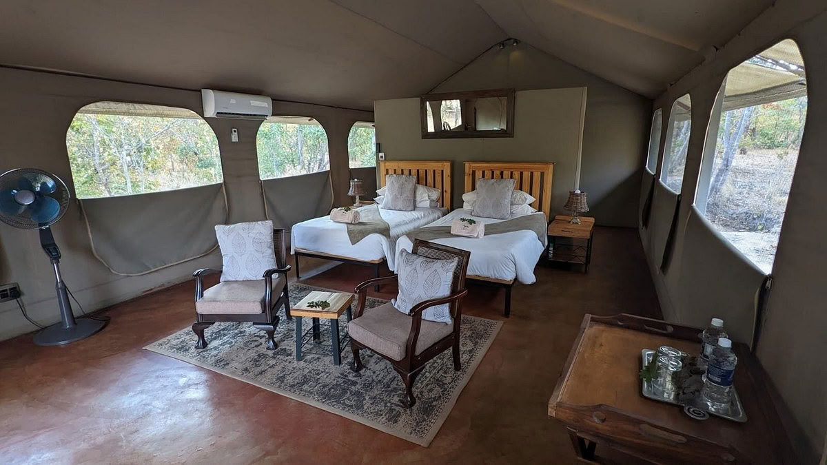 Safari Salute e Benessere