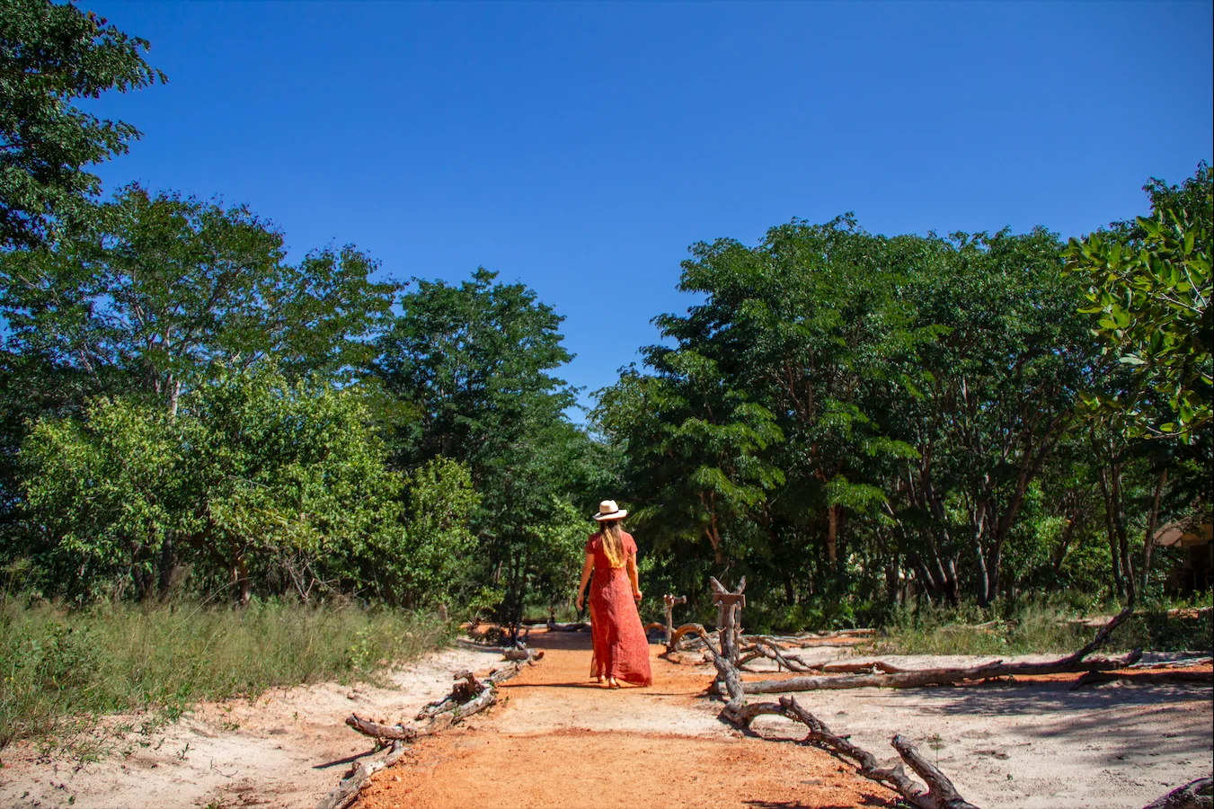 Safari Salute e Benessere