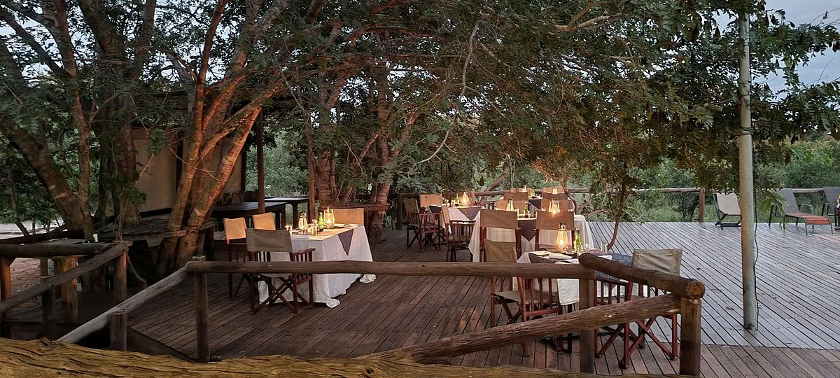 Safari Salute e Benessere